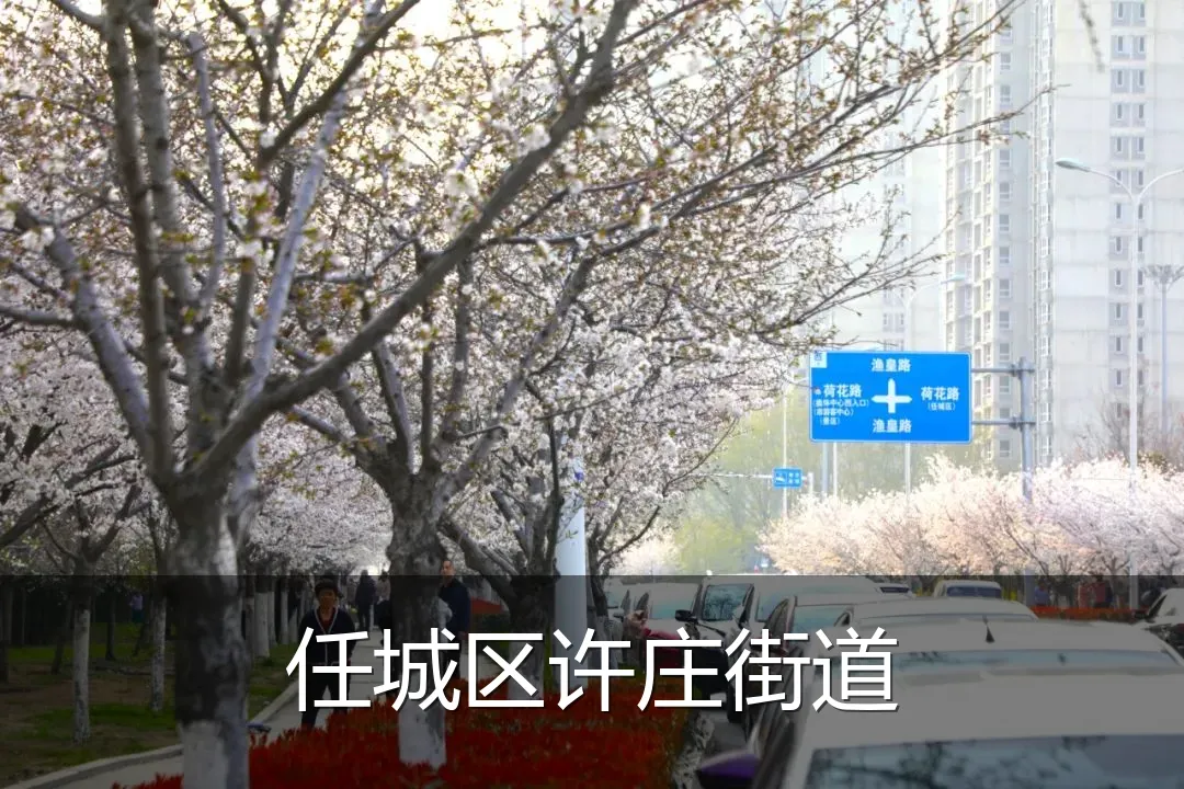 任城区许庄街道